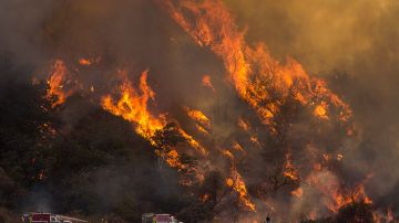 El incendio Blue Cut, en la ruta entre Los Ángeles y Las Vegas, se propagó rápido.