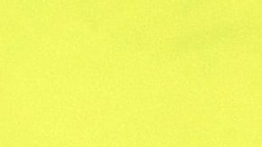 Un fan festeja y canta en el Maracaná.