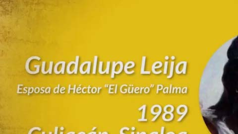Hijos, hermanos, cónyuges y sobrinos no escapan a las venganzas entre los cárteles.