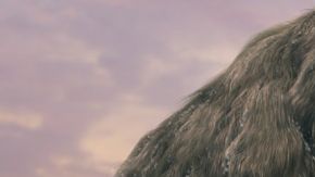 mamut