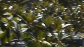 Trabajadores de supermercados aprobaron un contrato por los próximos tres años.