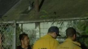 La mujer fue trasladada a un hospital local.