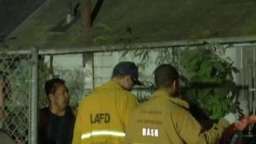 La mujer fue trasladada a un hospital local.