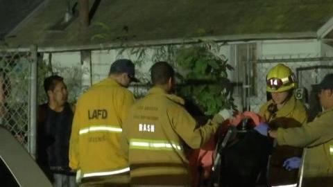 La mujer fue trasladada a un hospital local.