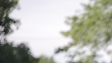 Patrick Vieira, con Harrison y Pirlo.