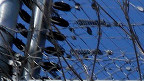 El Centro de Detención de Otay Mesa está ubicado en San Diego, frontera con México.