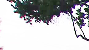 Había varias patrullas del Sheriff bloqueando el paso vehicular frente a varias casas del vecindario en la zona donde se reporta la muerte de la jovencita. /KTLA