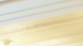 Miembros del Sindicato de Carpinteros apoyan al proyecto destacando que proveerá empleos.  