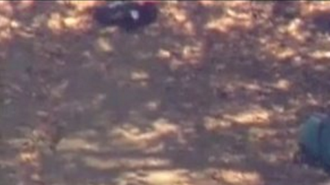 Screen Shot 2016-08-11 at 1.10.48 PM