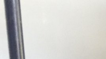 El Servicio de Animales de Riverside busca hogar para los 26 perros pit bull.