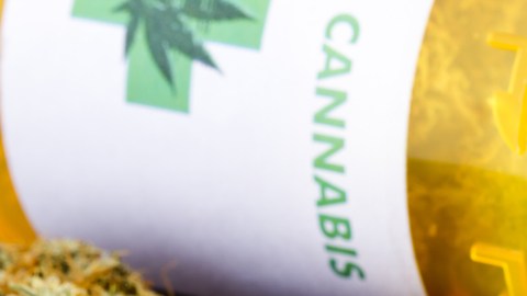 marihuana sintetica