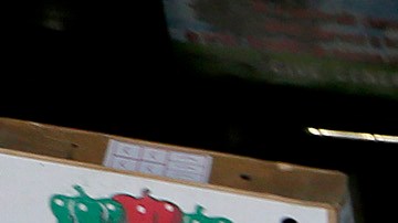 Elfega Barajas (derecha), residente de South Gate, recibe ayuda de Graciela Sanchez mientras consiguen alimentos en el banco de comida World Harvest. (Aurelia Ventura/ La Opinion)