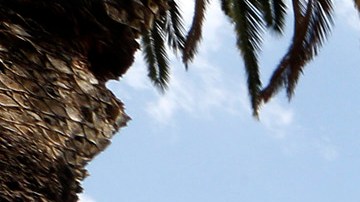 La gente dice que los altos costos de las rentas obligan a muchos inquilinos a dejar sus apartamentos. (Aurelia Ventura/ La Opinion)