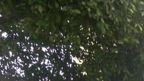 Autoridades y forenses se hallan en la zona donde hallaron los cadáveres.