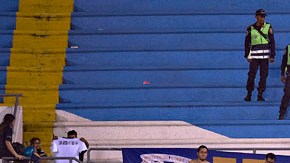 Aficionados de Pumas