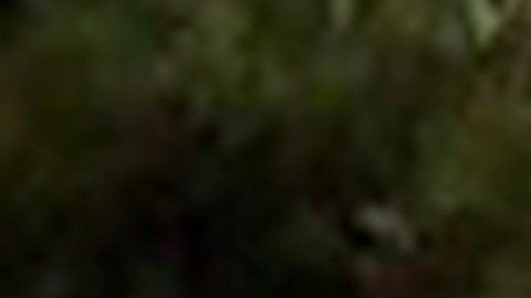 Un agente de policía mató a Alfred Olango en El Cajón, al sur de California.