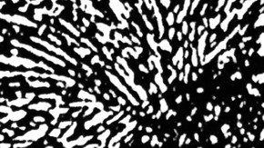 Imagen de los Betchuanas, guerreros africanos
Image caption
El Negro fue un guerrero africano que después de su muerte en 1830 fue llevado por un comerciante francés a Europa donde se convirtió en una especie de trofeo de caza.