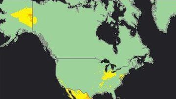 Las zonas más afectadas por la contaminación del aire en rojo. Las verdes son las que cumplen con los parámetros de la OMS.