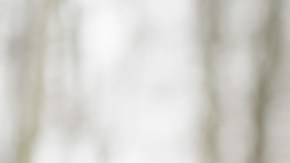 Los episodios de tristeza y depresión se incrementan en las personas sensibles a los días sin fuerte luz solar o a los de calor extremo.