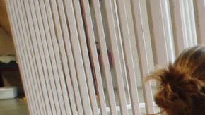El día en el centro de detención era deprimente, la alimentación deficiente, solo tenían derecho a salir al patio una hora, sin derecho Educación.