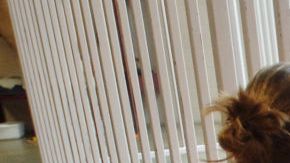 El día en el centro de detención era deprimente, la alimentación deficiente, solo tenían derecho a salir al patio una hora, sin derecho Educación.