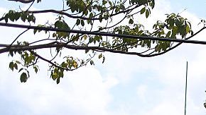 Life In Cuba's South: Santiago De Cuba