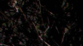 MEXICO-DRUG-TRAFFICKING-POPPIES