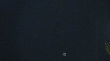 Trofeo Copa Libertadores