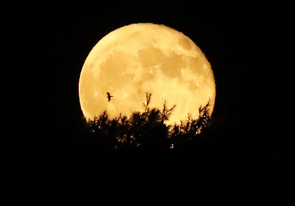 La luna de la cosecha es la más próxima al equinoccio de otoño. Getty Image