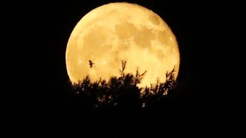 La luna de la cosecha es la más próxima al equinoccio de otoño.