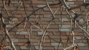 El Servicio Postal de Estados Unidos busca modernizar su flotilla de entrega.