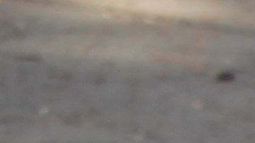 Varios indigentes duermen a las afueras de la Biblioteca de Santa Ana, frente al Centro Cívico.