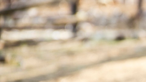 Regresa muy romántico.