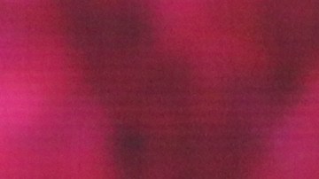 El legislador demócrata afroamericano y líder del movimiento de los derechos civiles, John Lewis.