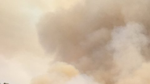 El incendio llamado Loma se extiende rápidamente al norte de California.