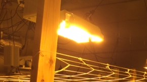 Las autoridades encontraron alrededor de 2,200 plantas de marihuana, junto con 40 libras de "mota" ya lista para la venta. /Cortesia del Sheriff