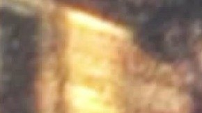 El adolescente fotografió a la pareja con su iPad.