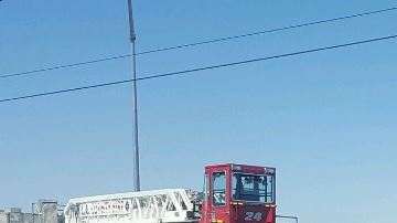 Los bomberos de Los Ángeles intentan extraer a los terneros.