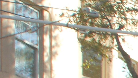 El 22 de septiembre de 2016 en San Francisco y otras ciudades de la Bahía y del país se marchó contra los desalojos y para exigir freno al alza de alquileres y la construcción de vivienda asequible sin desplazar a la población de sus barrios.