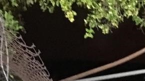 Los bomberos tuvieron que utilizar tenazas hidraúlicas para liberar al agente del Sheriff y al preso. /Cortesía del Sheriff