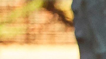 Las especulaciones sobre una posible relación, comenzaron a circular tras su divorcio con Mike Comrie.