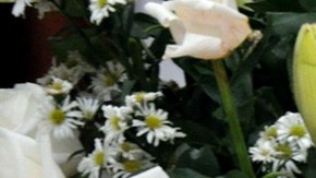 Con las pertenencias de Mario Almada, su familia pretende que se cree un museo en su tierra natal.