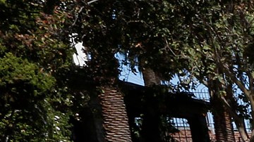 10/20/16/ LOS ANGELES/ Terrace Park in the Pico Union area. (Photo Aurelia Ventura/ La Opinion)