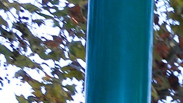 Faltan parques en las comunidades de color. (Photo Aurelia Ventura/ La Opinion)