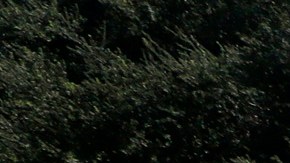 10/20/16/ LOS ANGELES/Garfield Park in Pasadena, a top rated park in the Los Angeles area. (Photo Aurelia Ventura/ La Opinion)