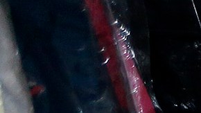 La propuesta ha sido impulsada por la senadora Annette Taddeo.