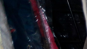 La propuesta ha sido impulsada por la senadora Annette Taddeo.