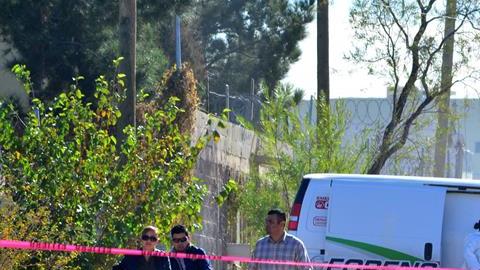 Investigan los hechos.