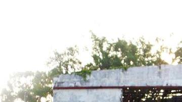 Violencia en México.