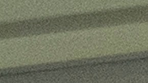 La Volpe vio el partido desde un palco por estar suspendido.